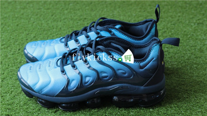 Nike Vapormax Plus Blue